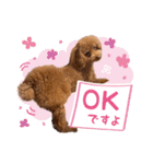 かわいいメアリーちゃん（個別スタンプ：12）