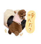 かわいいメアリーちゃん（個別スタンプ：20）