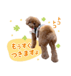 かわいいメアリーちゃん（個別スタンプ：22）
