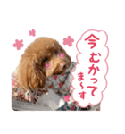 かわいいメアリーちゃん（個別スタンプ：23）