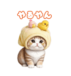スコティッシュ猫とひよこ BIG 関西弁ver.（個別スタンプ：15）