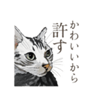 口悪いねこ リアルイラスト VOL.01（個別スタンプ：5）