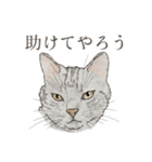 口悪いねこ リアルイラスト VOL.01（個別スタンプ：8）