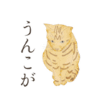 口悪いねこ リアルイラスト VOL.01（個別スタンプ：18）