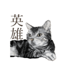 口悪いねこ リアルイラスト VOL.01（個別スタンプ：22）