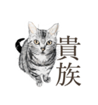 口悪いねこ リアルイラスト VOL.01（個別スタンプ：23）