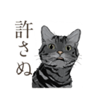 口悪いねこ リアルイラスト VOL.01（個別スタンプ：25）