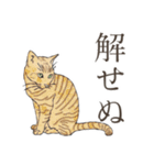 口悪いねこ リアルイラスト VOL.01（個別スタンプ：35）