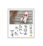 ウチのわんこU^ェ^U（個別スタンプ：3）