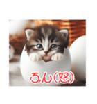 ねんどネコ9( 卵 )（個別スタンプ：20）