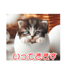 ねんどネコ9( 卵 )（個別スタンプ：32）