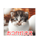 ねんどネコ9( 卵 )（個別スタンプ：40）