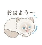 ねこ？(あいさつ)（個別スタンプ：1）