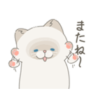 ねこ？(あいさつ)（個別スタンプ：5）