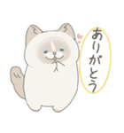 ねこ？(あいさつ)（個別スタンプ：7）