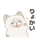 ねこ？(あいさつ)（個別スタンプ：11）