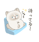 ねこ？(あいさつ)（個別スタンプ：16）