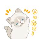 ねこ？(あいさつ)（個別スタンプ：17）