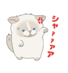 ねこ？(あいさつ)（個別スタンプ：19）