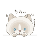 ねこ？(あいさつ)（個別スタンプ：23）