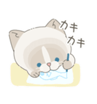 ねこ？(あいさつ)（個別スタンプ：30）