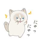 ねこ？(あいさつ)（個別スタンプ：31）