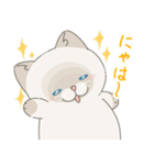 ねこ？(あいさつ)（個別スタンプ：36）