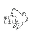 レッツゴー柴犬〜イラスト〜（個別スタンプ：1）