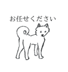 レッツゴー柴犬〜イラスト〜（個別スタンプ：12）