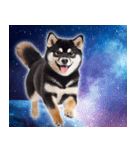 宇宙の柴犬【文字無しver】（個別スタンプ：3）