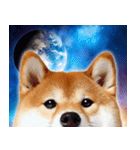 宇宙の柴犬【文字無しver】（個別スタンプ：6）