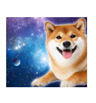 宇宙の柴犬【文字無しver】（個別スタンプ：20）