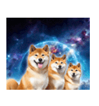 宇宙の柴犬【文字無しver】（個別スタンプ：24）