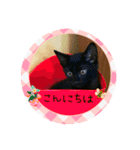 可愛い黒猫たち（個別スタンプ：2）