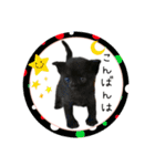 可愛い黒猫たち（個別スタンプ：3）