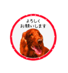 可愛い黒猫たち（個別スタンプ：4）