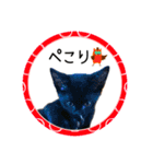 可愛い黒猫たち（個別スタンプ：6）