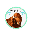 可愛い黒猫たち（個別スタンプ：7）