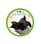 可愛い黒猫たち（個別スタンプ：8）