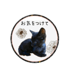 可愛い黒猫たち（個別スタンプ：9）