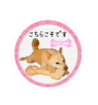 可愛い黒猫たち（個別スタンプ：13）