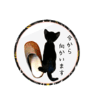 可愛い黒猫たち（個別スタンプ：14）