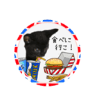 可愛い黒猫たち（個別スタンプ：17）