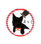 可愛い黒猫たち（個別スタンプ：20）