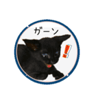 可愛い黒猫たち（個別スタンプ：21）