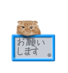 リアルふわ猫の磁気ボードでか文字日常（個別スタンプ：4）