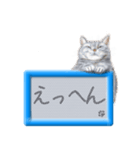 リアルふわ猫の磁気ボードでか文字日常（個別スタンプ：5）