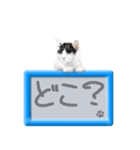 リアルふわ猫の磁気ボードでか文字日常（個別スタンプ：12）