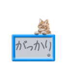 リアルふわ猫の磁気ボードでか文字日常（個別スタンプ：14）