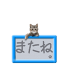 リアルふわ猫の磁気ボードでか文字日常（個別スタンプ：17）